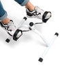 Mini Bike